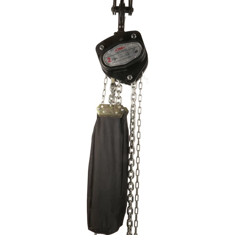 Portable And Safety Stage Chain Hoist factory